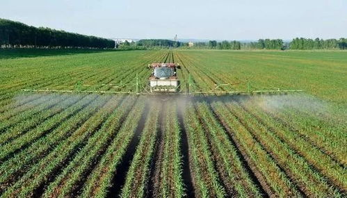 现代农业投资 高回报农产品种植项目指南