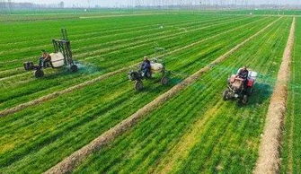 农产品加工项目补贴政策解析 种植环节的9大关注点