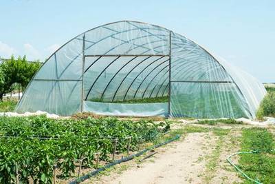 农产品标准化原来要这样搞?! 农产品种植篇