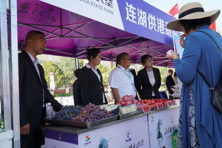 共庆丰收节，全国13个垦区展硕果