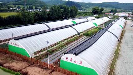 安图县石门镇 特色果蔬种植激发乡村振兴新活力